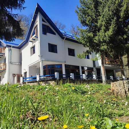 Hotel Parc Geoagiu Băi Dış mekan fotoğraf