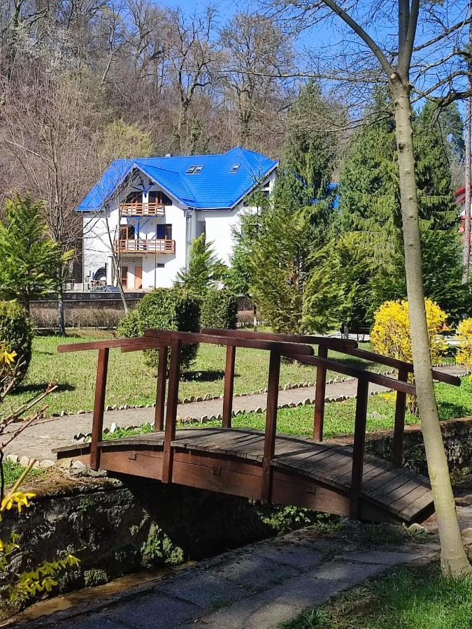 Hotel Parc Geoagiu Băi Dış mekan fotoğraf