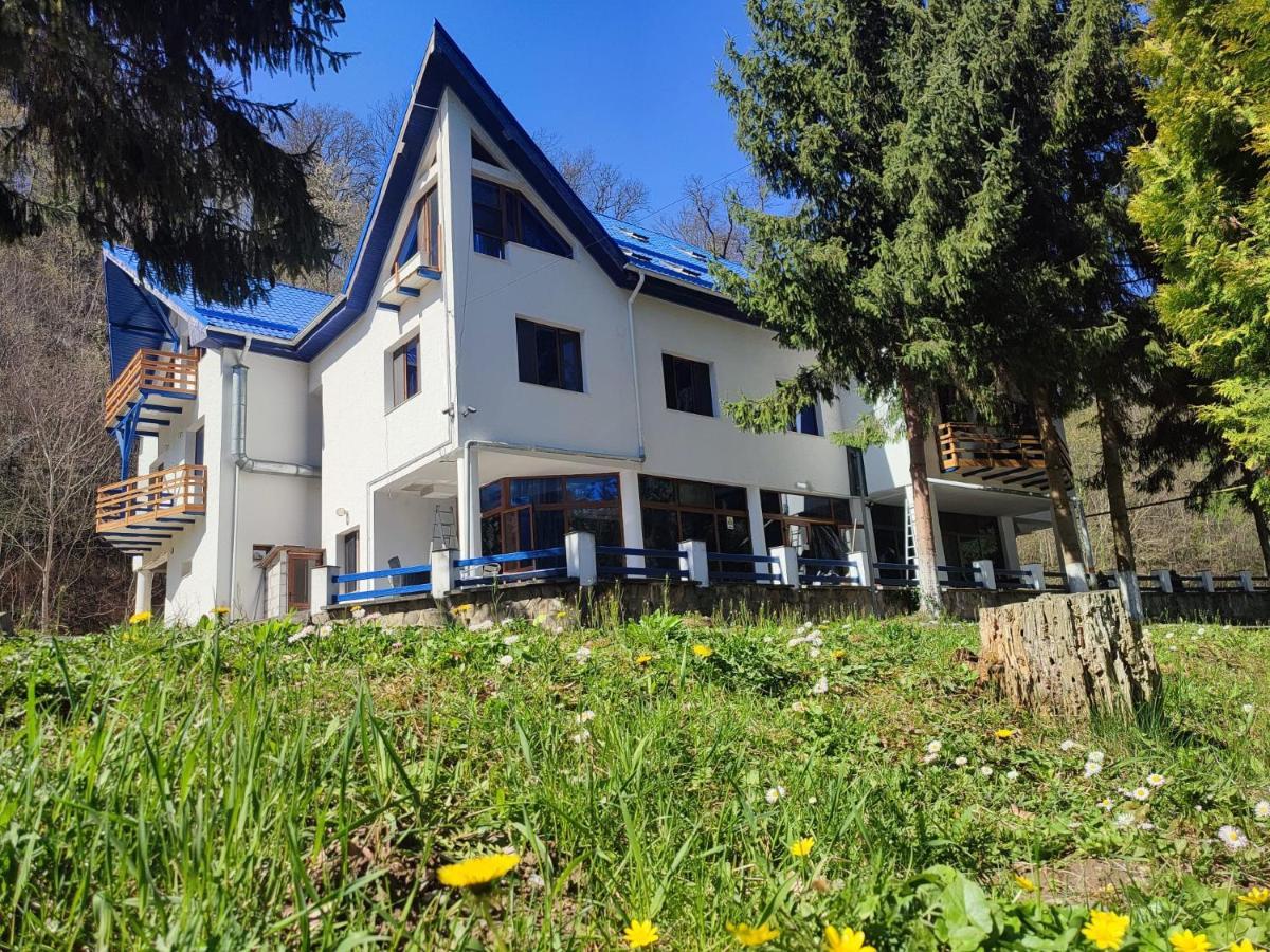 Hotel Parc Geoagiu Băi Dış mekan fotoğraf
