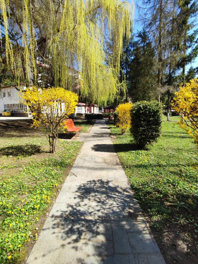 Hotel Parc Geoagiu Băi Dış mekan fotoğraf
