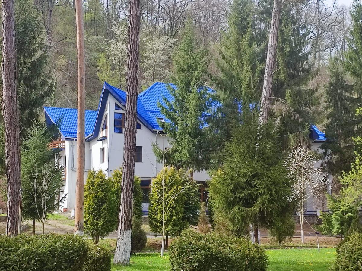 Hotel Parc Geoagiu Băi Dış mekan fotoğraf