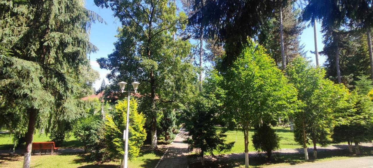 Hotel Parc Geoagiu Băi Dış mekan fotoğraf
