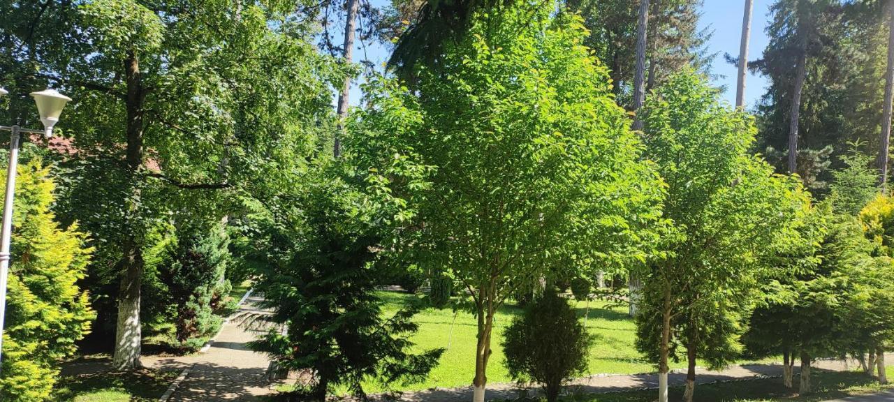 Hotel Parc Geoagiu Băi Dış mekan fotoğraf