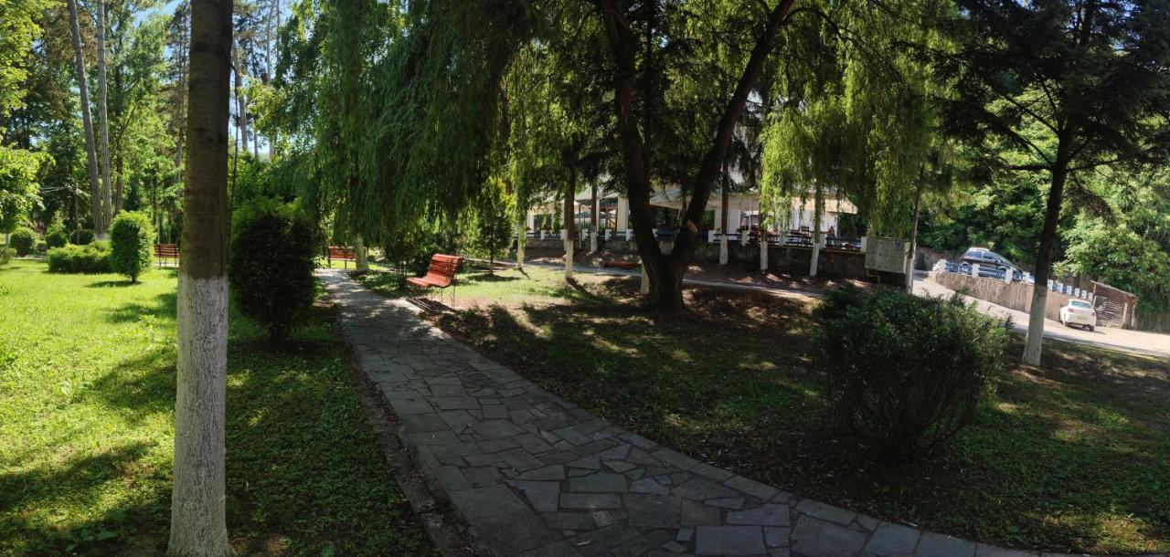 Hotel Parc Geoagiu Băi Dış mekan fotoğraf