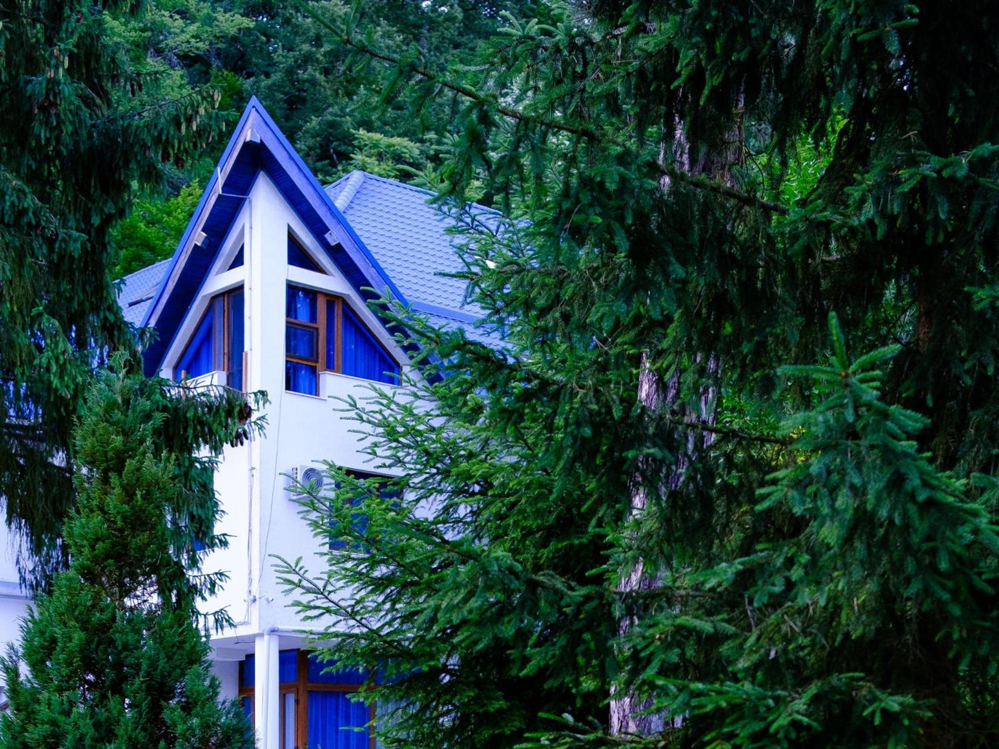 Hotel Parc Geoagiu Băi Dış mekan fotoğraf